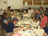 Travail d'identification en laboratoire. - Photo : Martine Lapointe