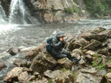 La Forêt Montmorency offre des milieux de récoltes à la fois intéressants et beaux. - Photo : Martine Lapointe