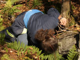 Les bryophytes sont parfois bien cachées. - Photo : Martine Lapointe
