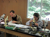 Travail d'identification en laboratoire. - Photo : Martine Lapointe