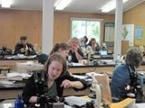 Travail d'identification en laboratoire. - Photo : Martine Lapointe