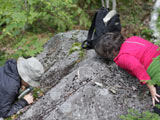 L'observation des bryophytes sur le terrain oblige à certains comportement qui peuvent semblés étranges aux non-initiés! - Photo : Martine Lapointe