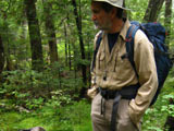 Observation de sphaignes forestières. - Photo : Dave Lebel