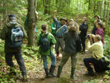 Exposé sur les bryophytes qui colonisent les troncs d'arbres. - Photo : Carole Beauchesne
