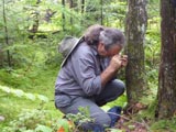 Posture typique du bryologue concentré à regarder un spécimen à travers sa loupe. - Photo : Carole Beauchesne