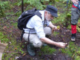 Exposé autour des sphaignes forestières. - Photo : Carole Beauchesne