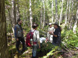 Participants et formateur dans la cédrière humide. - Photo : Carole Beauchesne