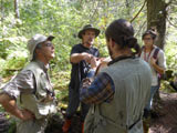 Participants et formateur dans la cédrière humide. - Photo : Carole Beauchesne