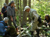 Participants et formateur dans la cédrière humide. - Photo : Carole Beauchesne