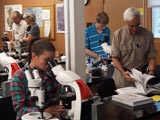 Travail d'identification en laboratoire. - Photo : Marie D'Aoûst