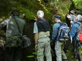 Le mur des lamentations? Non, un superbe mur de bryophytes! - Photo : Carole Beauchesne