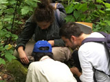Sur le terrain, les participants partagent leurs observations. - Photo : Carole Beauchesne