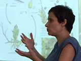 Présentation magistrale par une personne ressource. - Photo : Carole Beauchesne