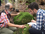 Observation des bryophytes qui peuplent les pierres. - Photo : Carole Beauchesne