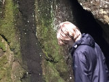 À la recherche de bryophytes sur des parois rocheuses de la Station de biologie des Laurentides. - Photo : Carole Beauchesne