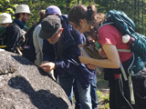 Observation des bryophytes qui peuplent les pierres. - Photo : Carole Beauchesne