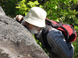 À la recherche de bryophytes sur des parois rocheuses de la Station de biologie des Laurentides. - Photo : Carole Beauchesne
