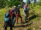 Les participants parcourent une diversité d'habitat à la recherche de bryophytes. - Photo : Carole Beauchesne