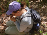 Une participante bien concentrée dans son travail de terrain. - Photo : Carole Beauchesne