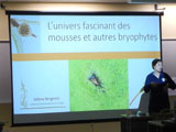 Présentation de l'univers des bryophytes. - Photo : Kellina Higgins