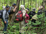 Visite d'une cédrière humide. - Photo : Kellina Higgins