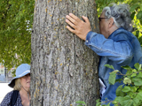 Amoureuses des arbres, ou plutôt de ce qui pousse dessus!. - Photo : Jacques Larivée