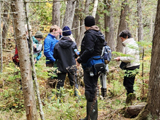 Recherche d'hépatiques dans une cédrière humide. - Photo : Carole Beauchesne