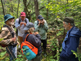 Exploration d'une cédrière humide. - Photo : Élyse Grenier