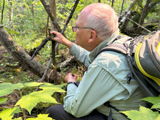 Recherche de bryophytes sur le moindre bout de bois. - Photo : Catherine Xu