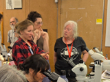 Séance de laboratoire effervescente : manipulations, observation, échange et partage. - Photo : Carole Beauchesne