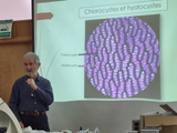 Présentation des sphaignes. - Photo : Élyse Grenier