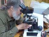 Travail au laboratoire. - Photo : Carole Beauchesne