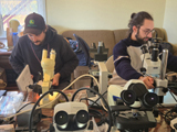 Et voilà! Le laboratoire temporaire est installé, c'est parti pour les identifications. - Photo : Carole Beauchesne