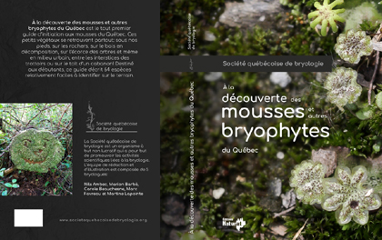 À la découverte des mousses et autres bryophytes du Québec